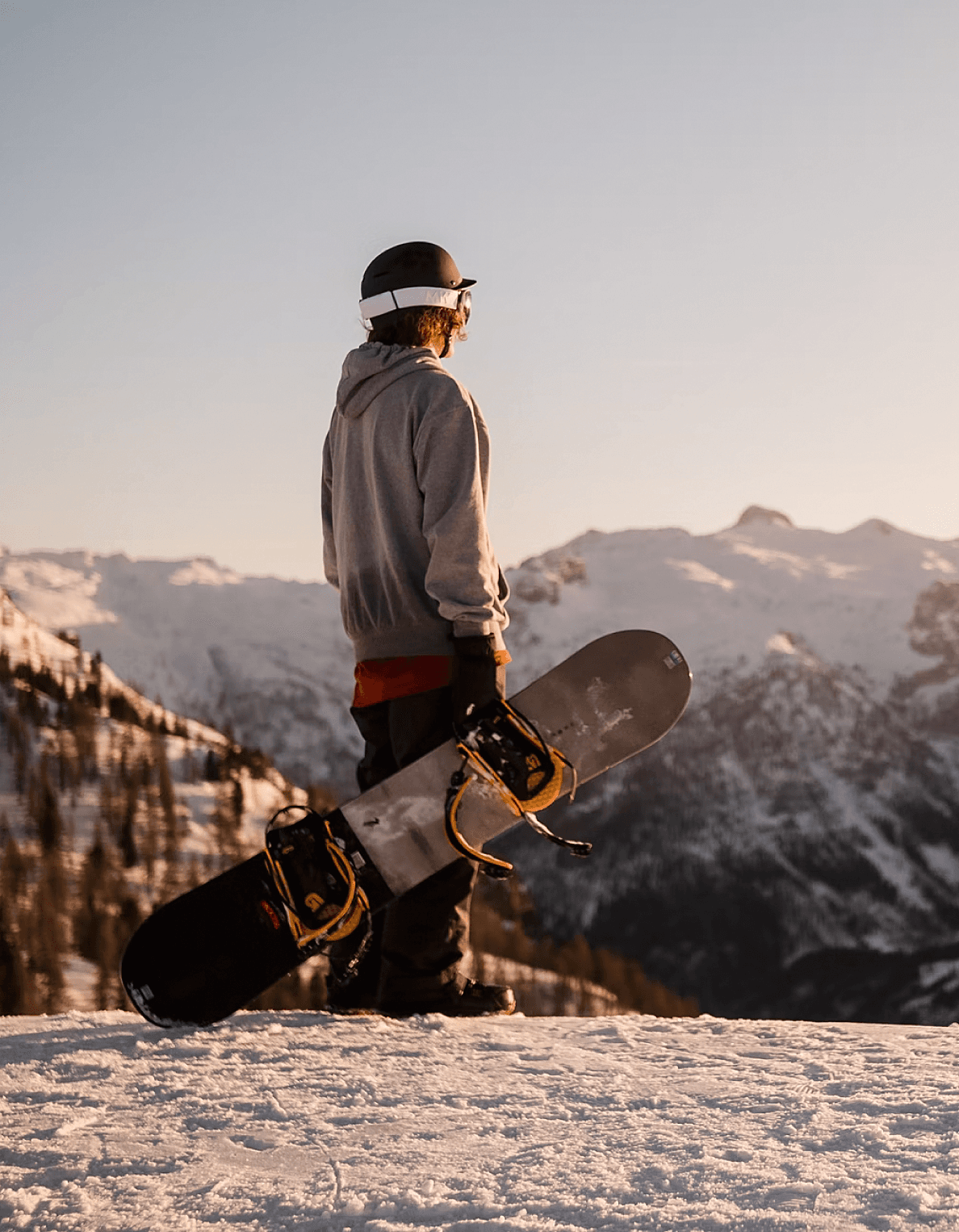 Snowboarder carrying a board above the treeline