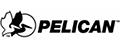Pelican