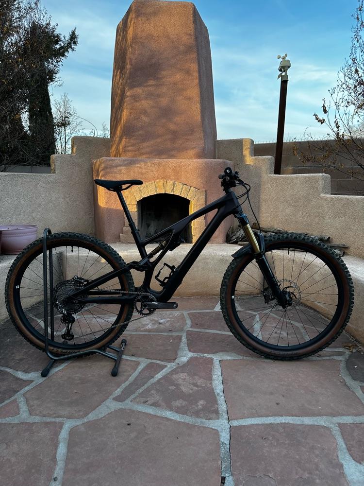 Custom Stumpjumper Evo