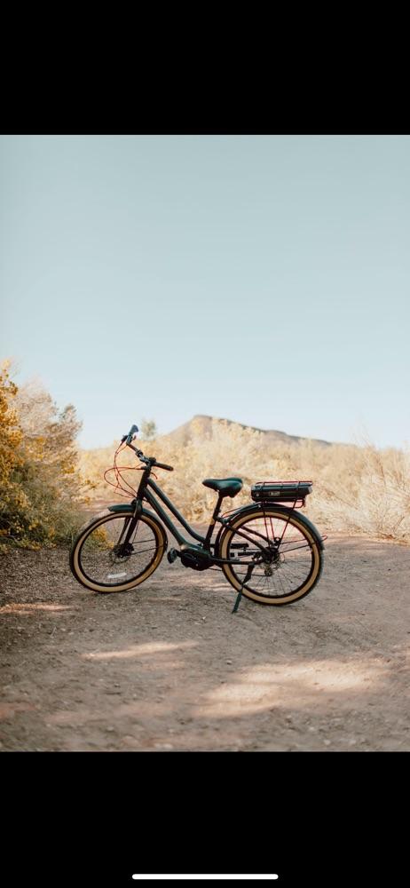 Electric Bike