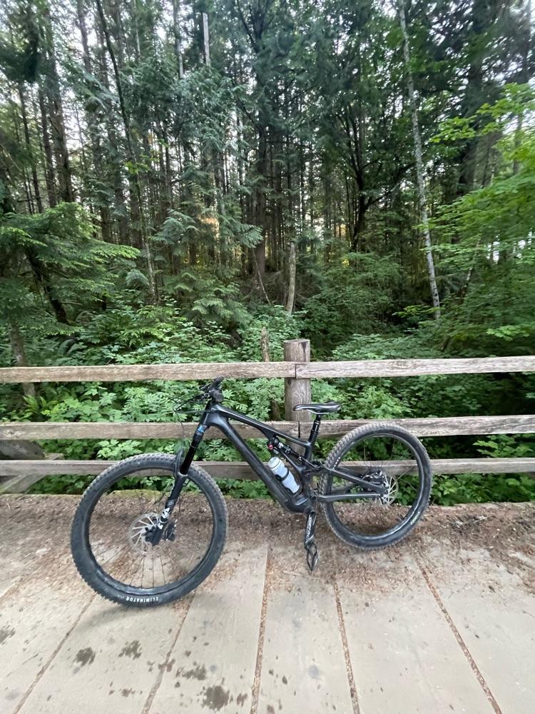 Large 2021 StumpJumper EVO