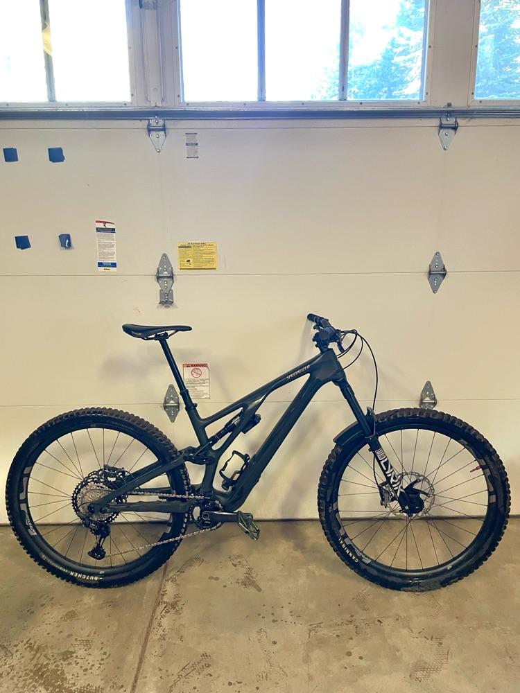 Custom 2023 Stumpjumper Evo LTD S4