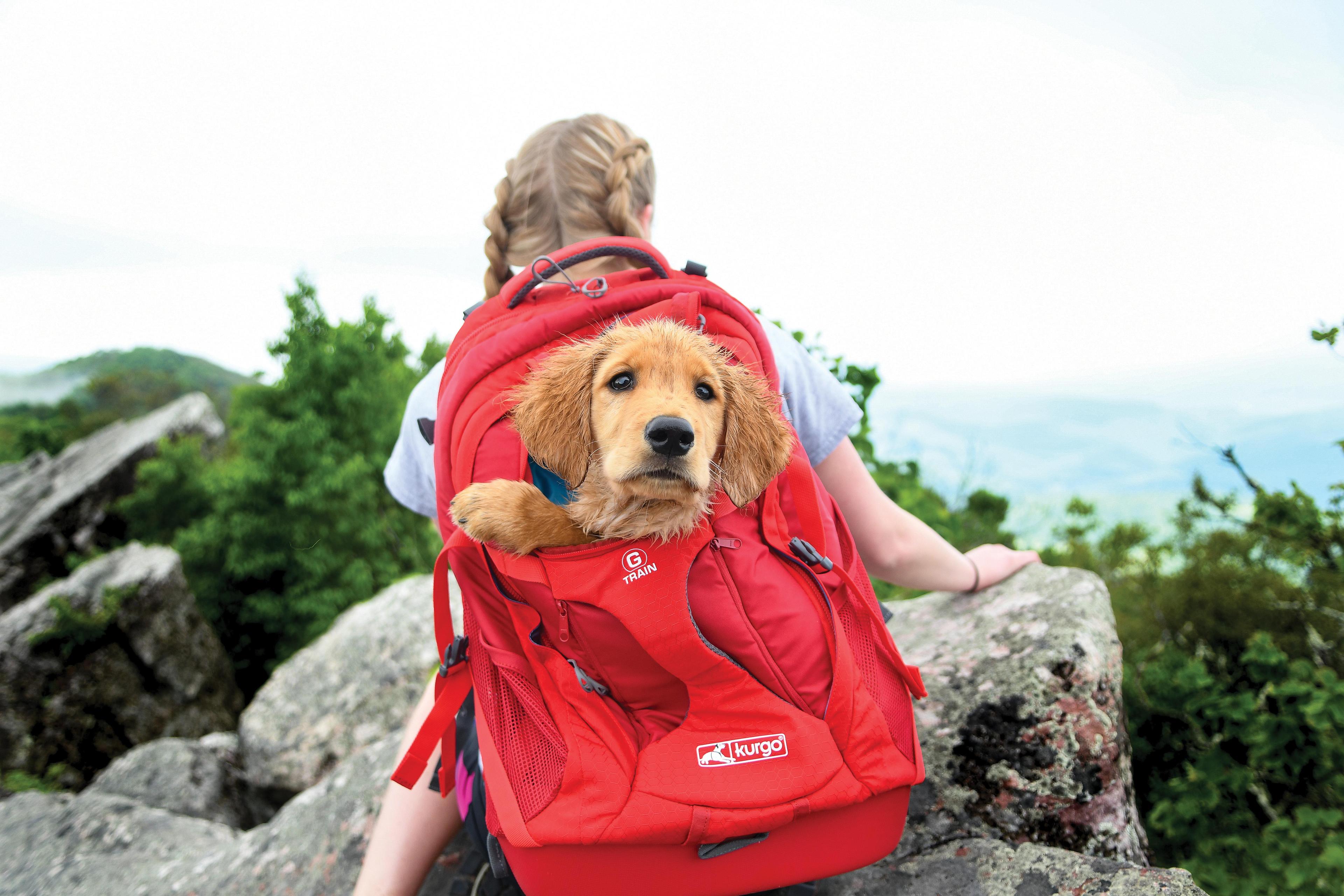 G-TRAIN K9 BACKPACK - RED