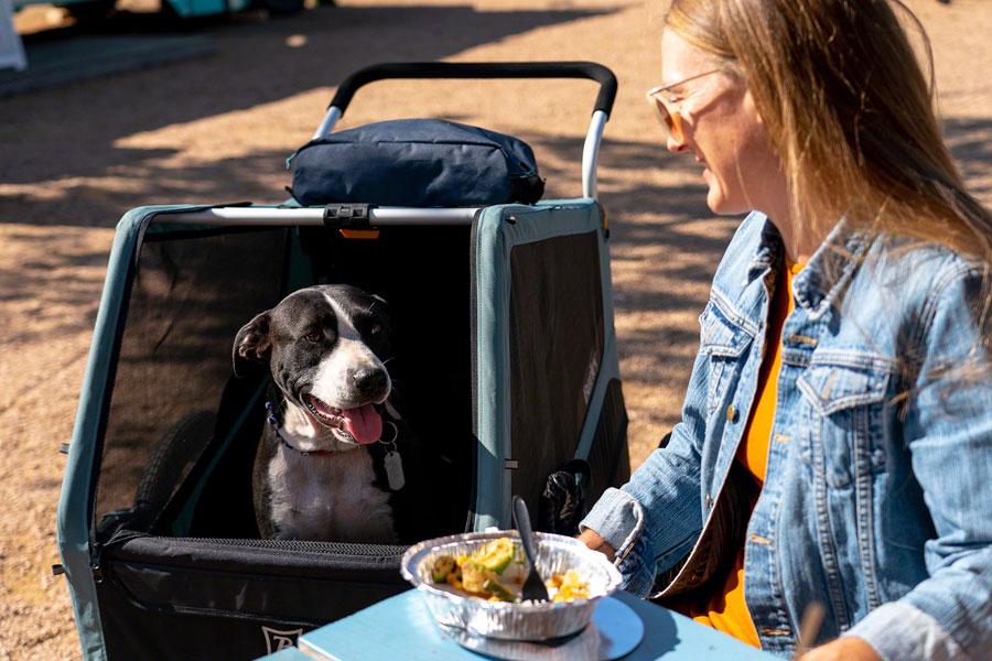 Burley Bark Ranger XL Pet Bike Trailer