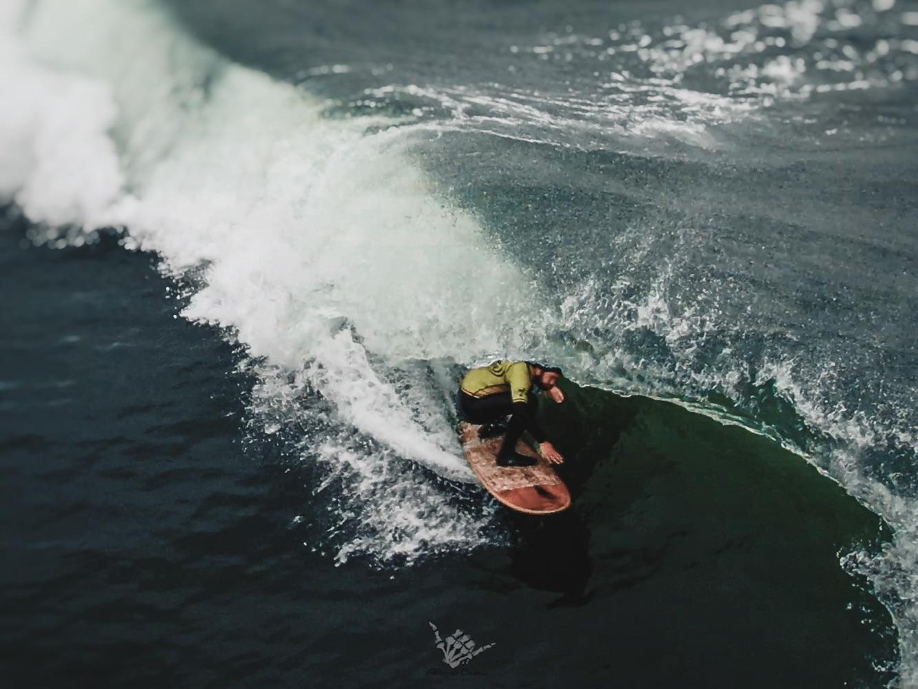 TimberSurfCo
