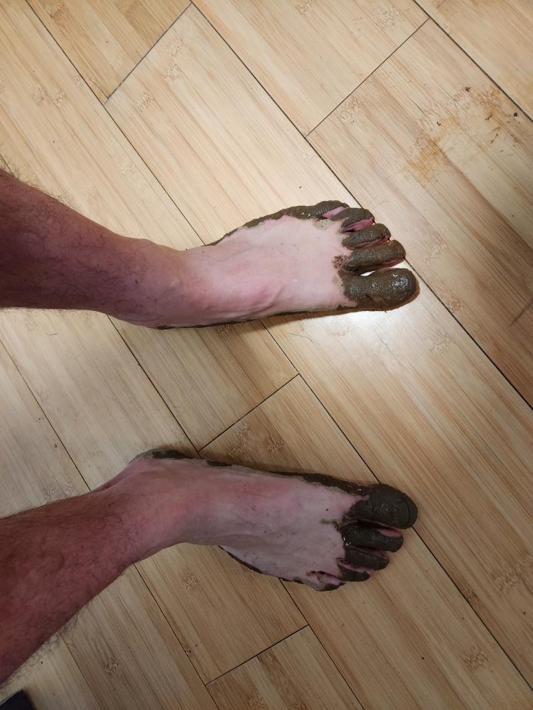 Poopfarter