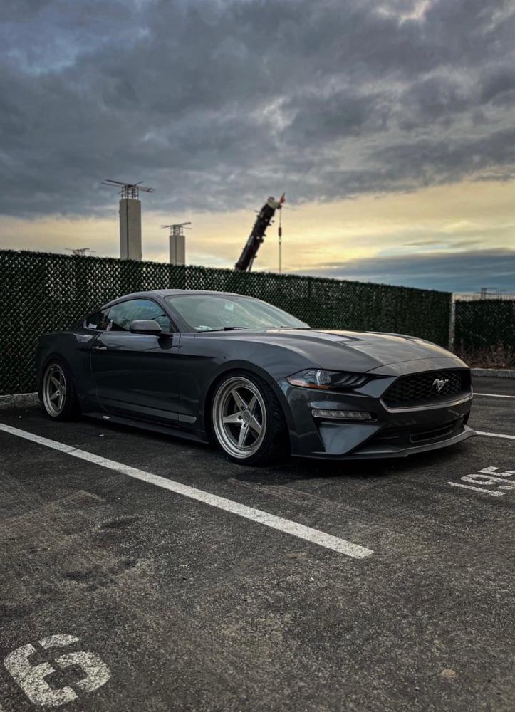 S550Mark