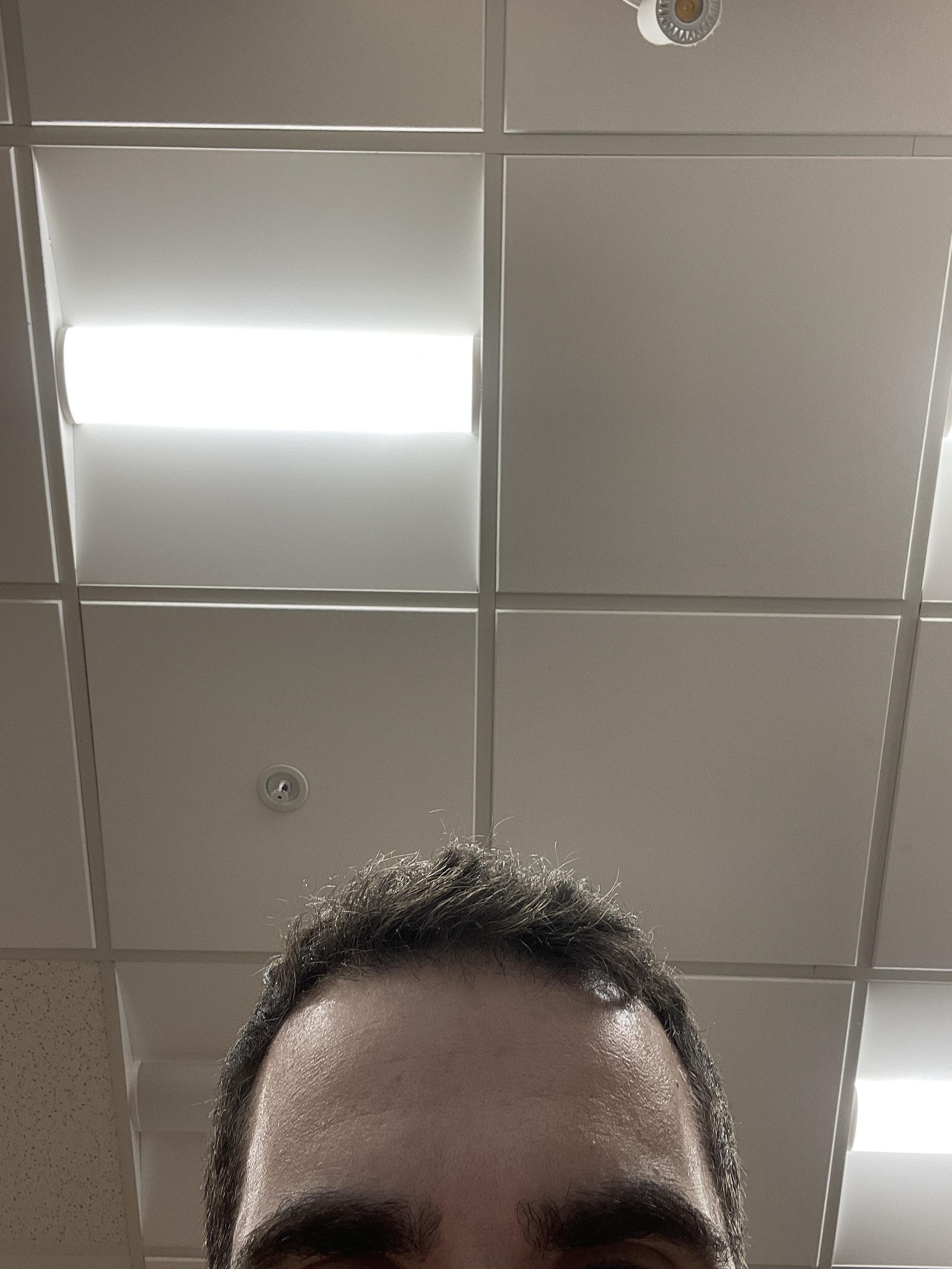 H G