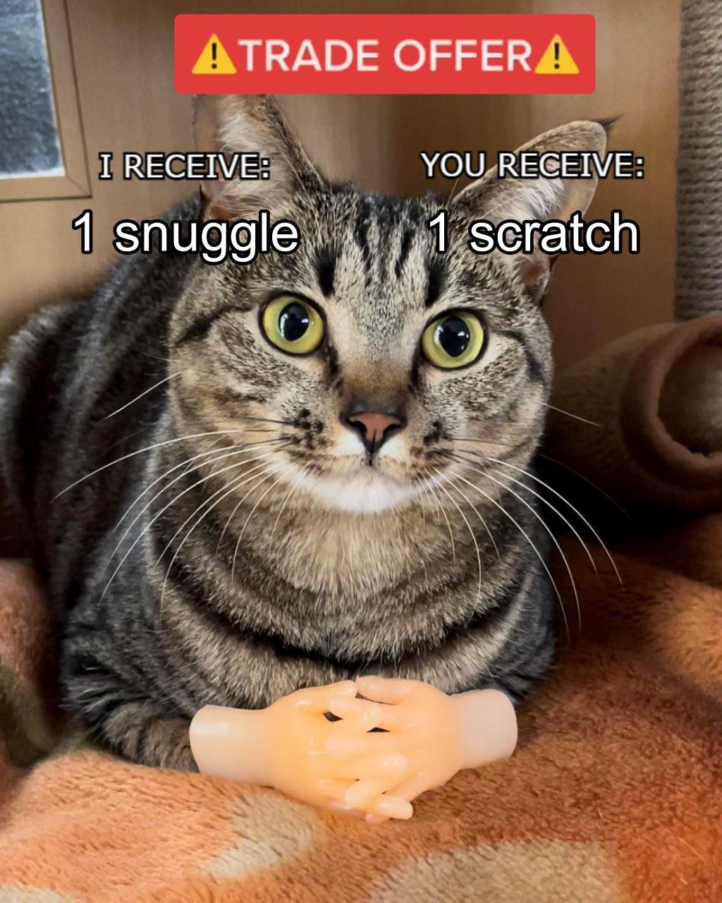 swensnax