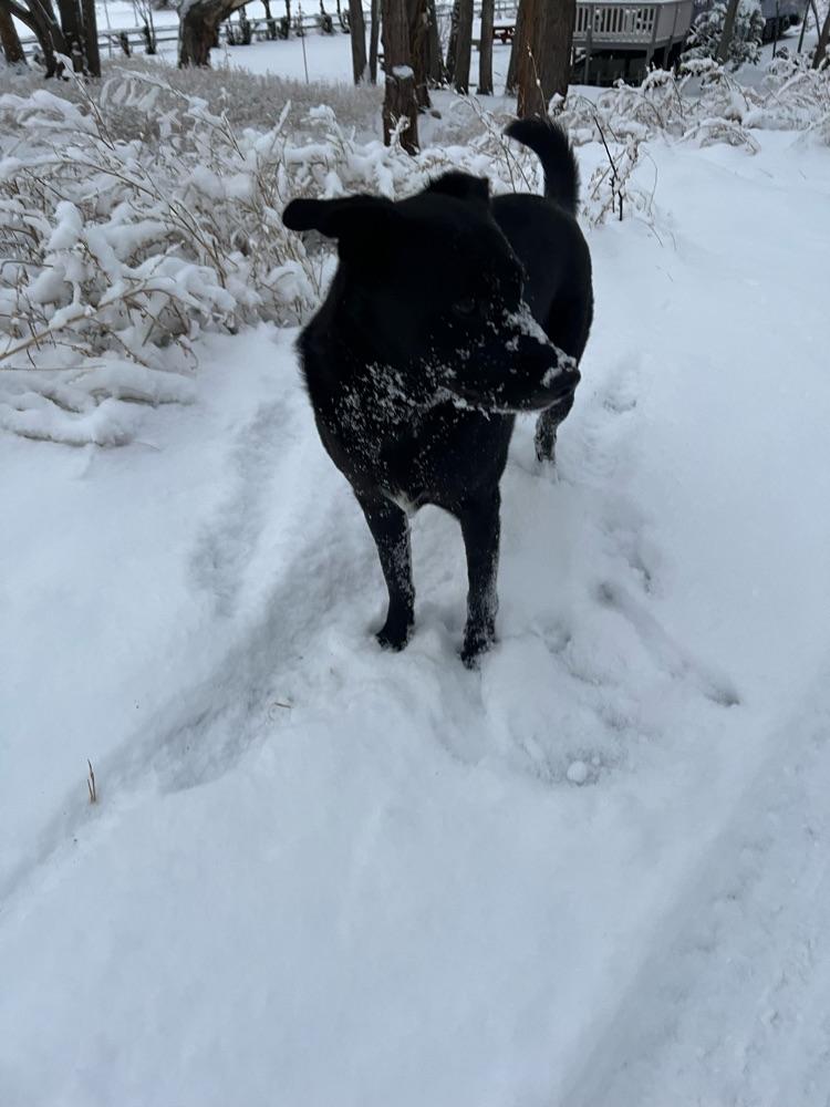 Gus