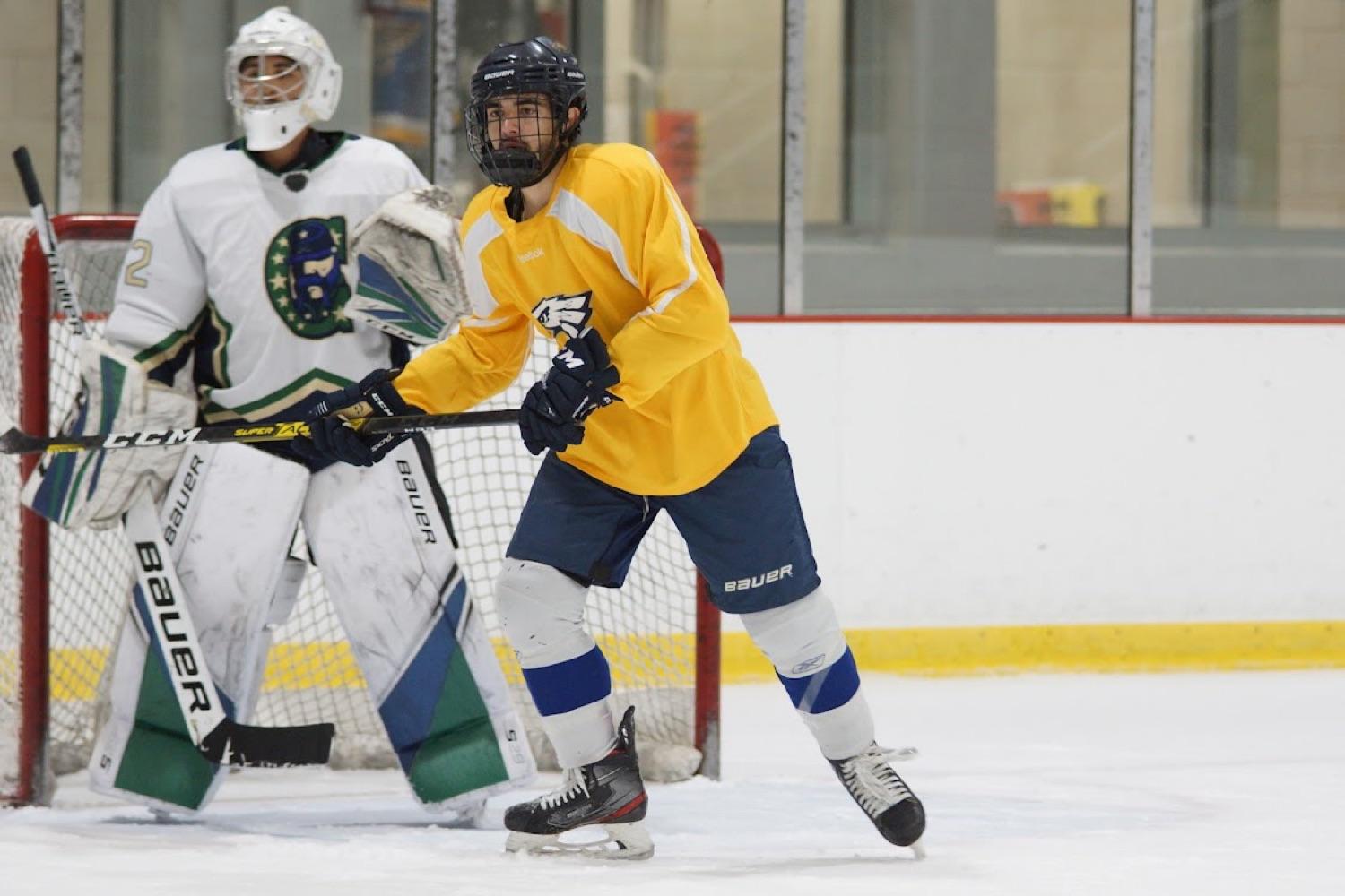HockeyGuy1325