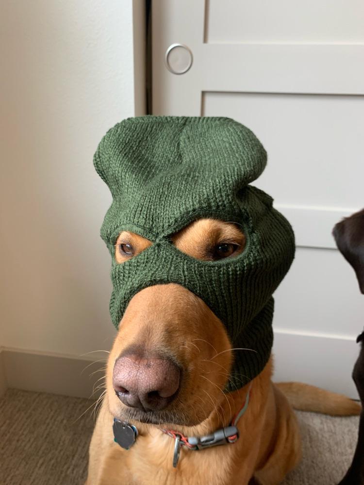 LouGehrigsLegs