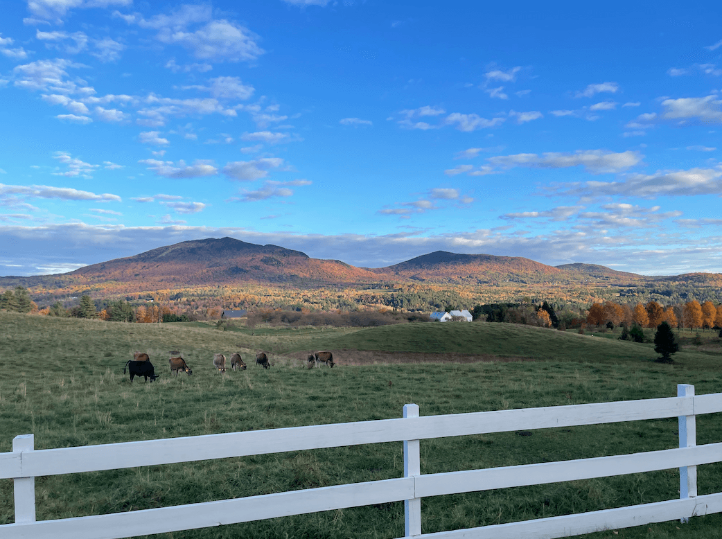 Cam_710VT
